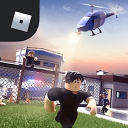 roblox中文國(guó)際版游戲