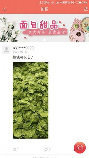 hi蘋果紅了最新版下載