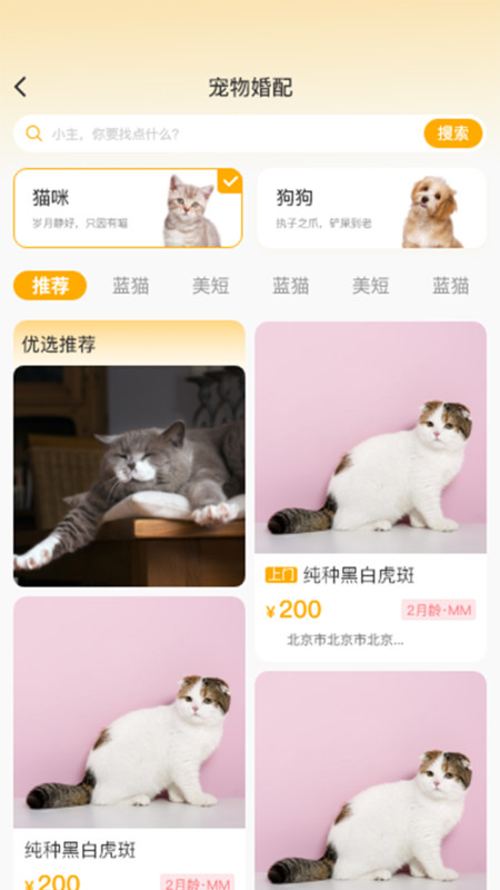 喵鑫球?qū)櫸?></a>						 
					 </div>
					<div   id=