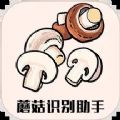蘑菇識別助手