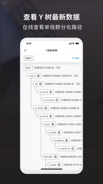 魔方祖源最新版下載