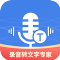 意飛錄音轉(zhuǎn)文字專家