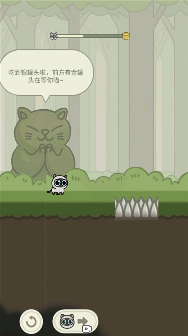 叢林冒險(xiǎn)貓