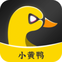 小黃鴨