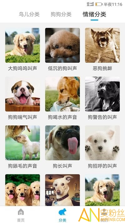 物翻譯器手機(jī)版下載