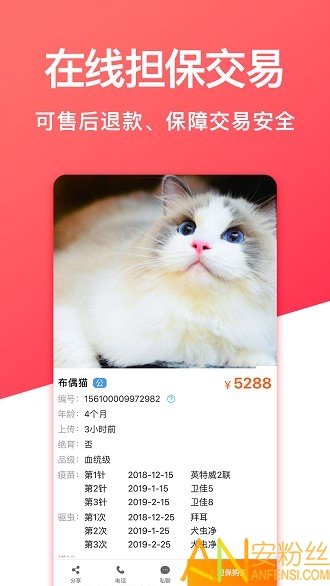 寵物市場官方下載