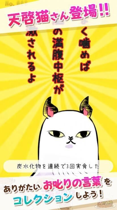 兒玉日記(こだま日記)