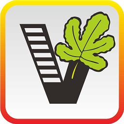 我要自學(xué)網(wǎng)app