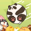 合合星球紅包版 合合星球紅包版