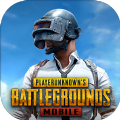 地鐵逃生國際服2024(PUBG MOBILE)