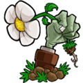 植物大戰(zhàn)僵尸元素版