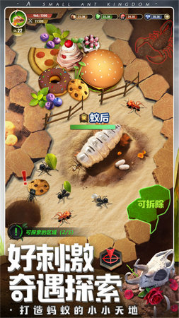 昆蟲星球