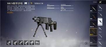 PUBGMOBILE國際服