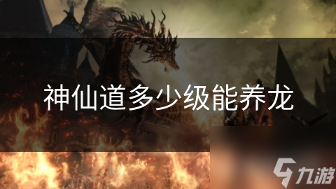 神仙道多少級能養(yǎng)龍