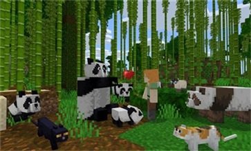 minecraft國際版