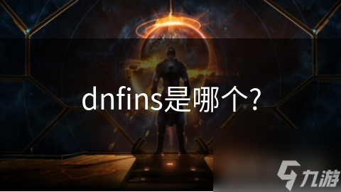 dnfins是哪個(gè)?