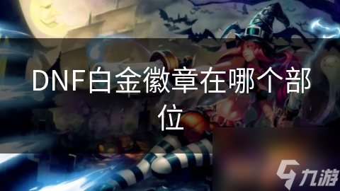 DNF白金徽章在哪個(gè)部位