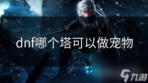 dnf哪個(gè)塔可以做寵物