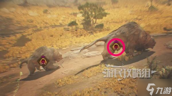《怪物獵人荒野》大小金速刷攻略 怎么刷大小金冠