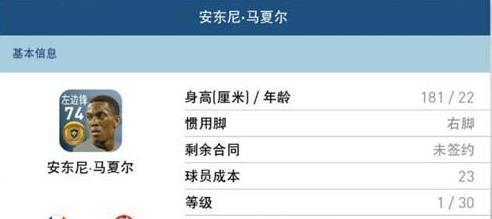 實(shí)況足球8中文版官網(wǎng)版