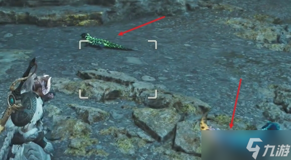 《怪物獵人荒野》燐炎領(lǐng)蜥位置介紹