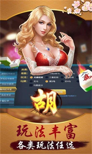 微樂手游輔助器中文免費版