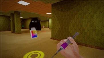 后室躲貓貓