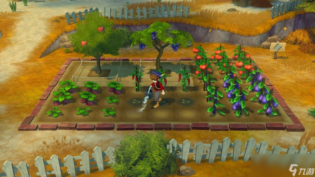 《牧場物語 來吧！風(fēng)之繁華集市》上架Steam 首批截圖