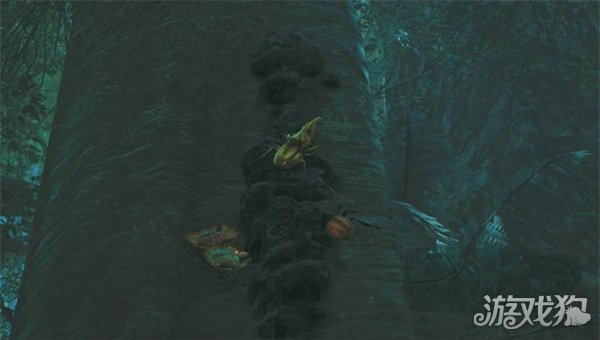 怪物獵人荒野金色獨(dú)角仙在什么位置（金色獨(dú)角仙捕捉方法一覽）