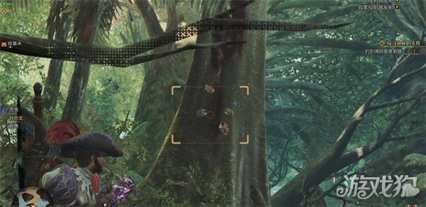 怪物獵人荒野瑰寶金龜子如何獲得(瑰寶金龜子捕捉方法一覽)