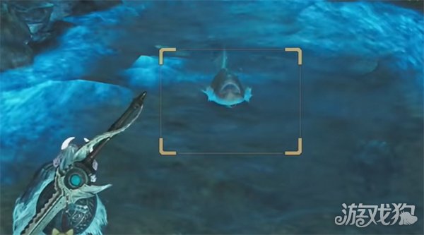 怪物獵人荒野閃燈魚如何捕捉(閃燈魚捕捉方法一覽)