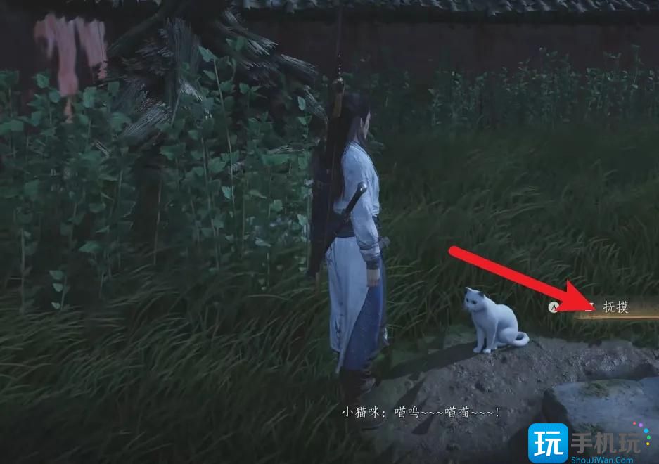 燕云十六聲在什么位置摸貓（摸貓位置分享）