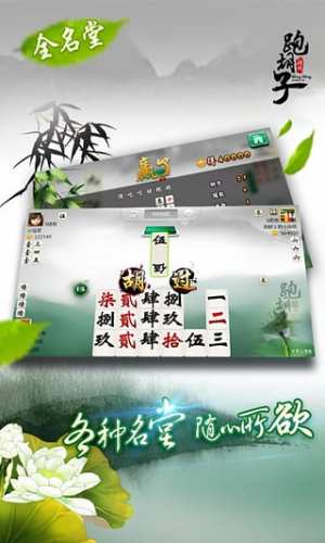 湖南字牌跑胡子