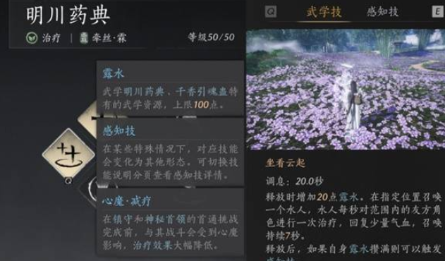 燕云十六聲奶媽如何裝備（奶媽套裝搭配攻略一覽）