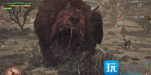 怪物獵人荒野金冠怪物如何收集（收集金冠怪物方法一覽）