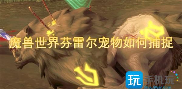 魔獸世界芬雷爾寵物怎樣捕捉（芬雷爾寵物捕捉方法一覽）