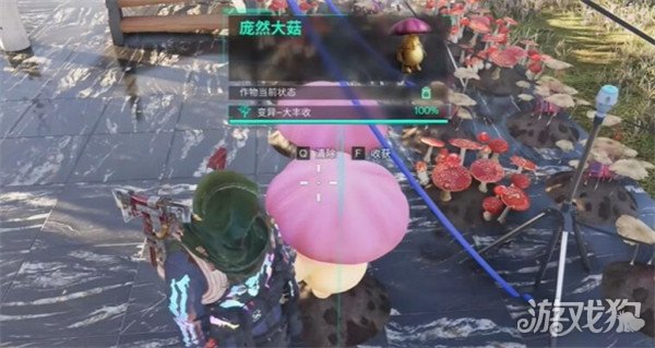七日世界龐然大菇如何獲得（龐然大菇獲得方法一覽）