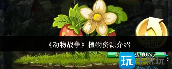動(dòng)物戰(zhàn)爭(zhēng)植物資源有什么（資源大全）